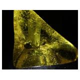 100ct Triangular Polished Yellow Amber Gemstone with Insect
