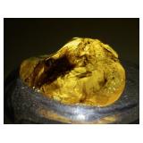 69ct Amber Specimen with Insect Inclusion