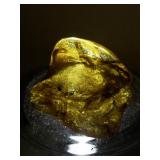 69ct Amber Specimen with Insect Inclusion
