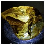 69ct Amber Specimen with Insect Inclusion