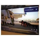 55 Inch TCL Q6 Q-Class 4K QLED HDR Smart TV with Google TV