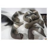 Canada Goose Sleeper Shell Decoys (6ct) 42" long