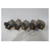 Duck Decoys