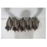Duck Decoys
