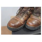 Irish Setter Ely Men