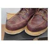 Irish Setter Ashby Men