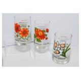 1950s Brockway “Flower of the Month” Drinking Glasses – Set of 11