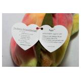 RARE Iggy & Rainbow Beanie Babies – Mislabeled Tags