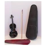 Violin with Case and Bow