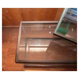 Fish and Amphibian Tanks – 2-Piece Lot