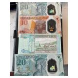 Foreign Currency