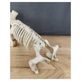 Halloween Decor Lot: 3x5 ft Flag & Dog Skeleton Prop - Brand New Halloween Decor Lot: 3x5 ft Flag & Dog Skeleton Prop - Brand New