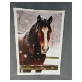 Horse in Snow 12" x 18" Canvas Print - Brand New Horse in Snow 12" x 18" Canvas Print - Brand New