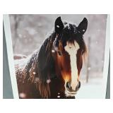 Horse in Snow 12" x 18" Canvas Print - Brand New Horse in Snow 12" x 18" Canvas Print - Brand New