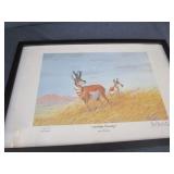 Antelope Country by Les Kouba