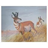 Antelope Country by Les Kouba