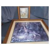 Whitetail Deer Prints