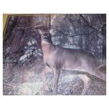 Whitetail Deer Prints