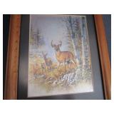 Whitetail Deer Prints