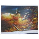 Unframed Prints