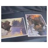 Unframed Prints