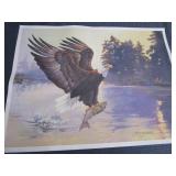 Unframed Prints