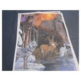 Unframed Prints