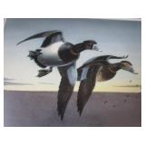 Ringnecks by Kouba