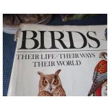Bird Book & Figurines
