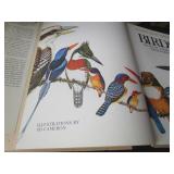 Bird Book & Figurines
