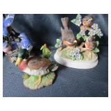 Bird Book & Figurines