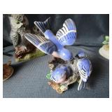 Bird Book & Figurines