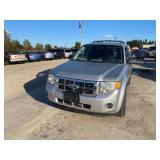 2010 Ford Escape