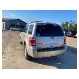 2010 Ford Escape