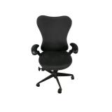 Herman Miller Mirra 1 Task Chair Herman Miller Mirra 1 Task Chair