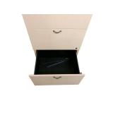 Storage Cabinet with Keys & Filing Storage Cabinet with Keys & Filing