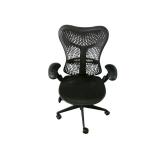 Herman Miller Mirra Task Chair Herman Miller Mirra Task Chair