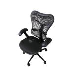 Herman Miller Mirra Task Chair Herman Miller Mirra Task Chair