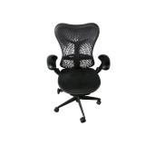 Herman Miller Mirra Task Chair Herman Miller Mirra Task Chair