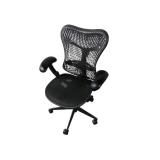 Herman Miller Mirra Task Chair Herman Miller Mirra Task Chair