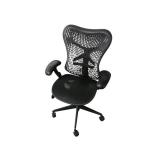 Herman Miller Mirra Task Chair Herman Miller Mirra Task Chair