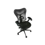 Herman Miller Mirra Task Chair Herman Miller Mirra Task Chair
