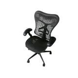 Herman Miller Mirra Task Chair Herman Miller Mirra Task Chair