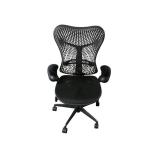Herman Miller Mirra Task Chair Herman Miller Mirra Task Chair