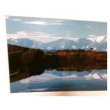 Art Moose in Alaska Photograph Art Moose in Alaska Photograph