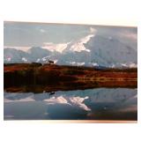 Art Moose in Alaska Photograph Art Moose in Alaska Photograph