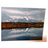 Art Moose in Alaska Photograph Art Moose in Alaska Photograph
