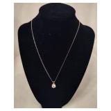 Sterling Silver Pendant & Chain