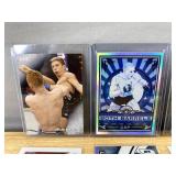 UFC 8 Trading Card Lot - GSP Insert, Nunes, Benavidez, Ankalaev & More *J