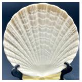 Set of 5 Belleek Ireland Shell-Shaped Porcelain Plates
